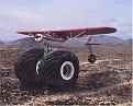 Click image for larger version

Name:	tundra_tires_0.jpg
Views:	201
Size:	142.6 KB
ID:	158794