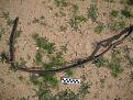 Click image for larger version

Name:	Wickenberg Airfield Feb2010 046.jpg
Views:	95
Size:	99.9 KB
ID:	159515