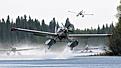 Click image for larger version

Name:	Float Planes.jpg
Views:	123
Size:	75.9 KB
ID:	159600