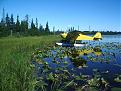 Click image for larger version

Name:	WaddellLakeAug2010 035.jpg
Views:	194
Size:	262.8 KB
ID:	160331