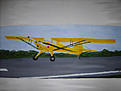 Click image for larger version

Name:	1940 taylorcraft.JPG
Views:	106
Size:	77.1 KB
ID:	160467
