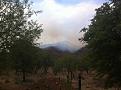 Click image for larger version

Name:	pat fire may 13.jpg
Views:	109
Size:	48.8 KB
ID:	161265