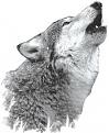 Click image for larger version

Name:	howlingwolf.jpg
Views:	88
Size:	8.6 KB
ID:	161447