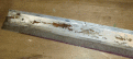Click image for larger version

Name:	Windshield top strip.gif
Views:	216
Size:	175.0 KB
ID:	161476