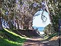Click image for larger version

Name:	Road to MBA Beach Central Ca.jpg
Views:	123
Size:	245.2 KB
ID:	163004