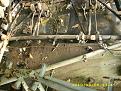 Click image for larger version

Name:	DSCI1198 R side brake cables on wrecked F19.JPG
Views:	135
Size:	148.3 KB
ID:	181154