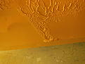 Click image for larger version

Name:	DSCN7493.JPG
Views:	420
Size:	102.6 KB
ID:	187399