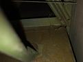Click image for larger version

Name:	IMG_1827.jpg
Views:	116
Size:	206.6 KB
ID:	195381