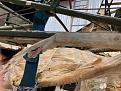 Click image for larger version

Name:	IMG_1929.jpg
Views:	111
Size:	226.5 KB
ID:	195402