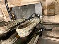 Click image for larger version

Name:	IMG_1939.jpg
Views:	113
Size:	227.9 KB
ID:	195420